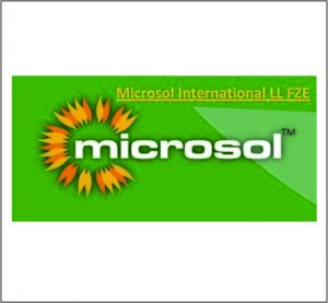 MICROSOL INTERNATIONAL LLZ
